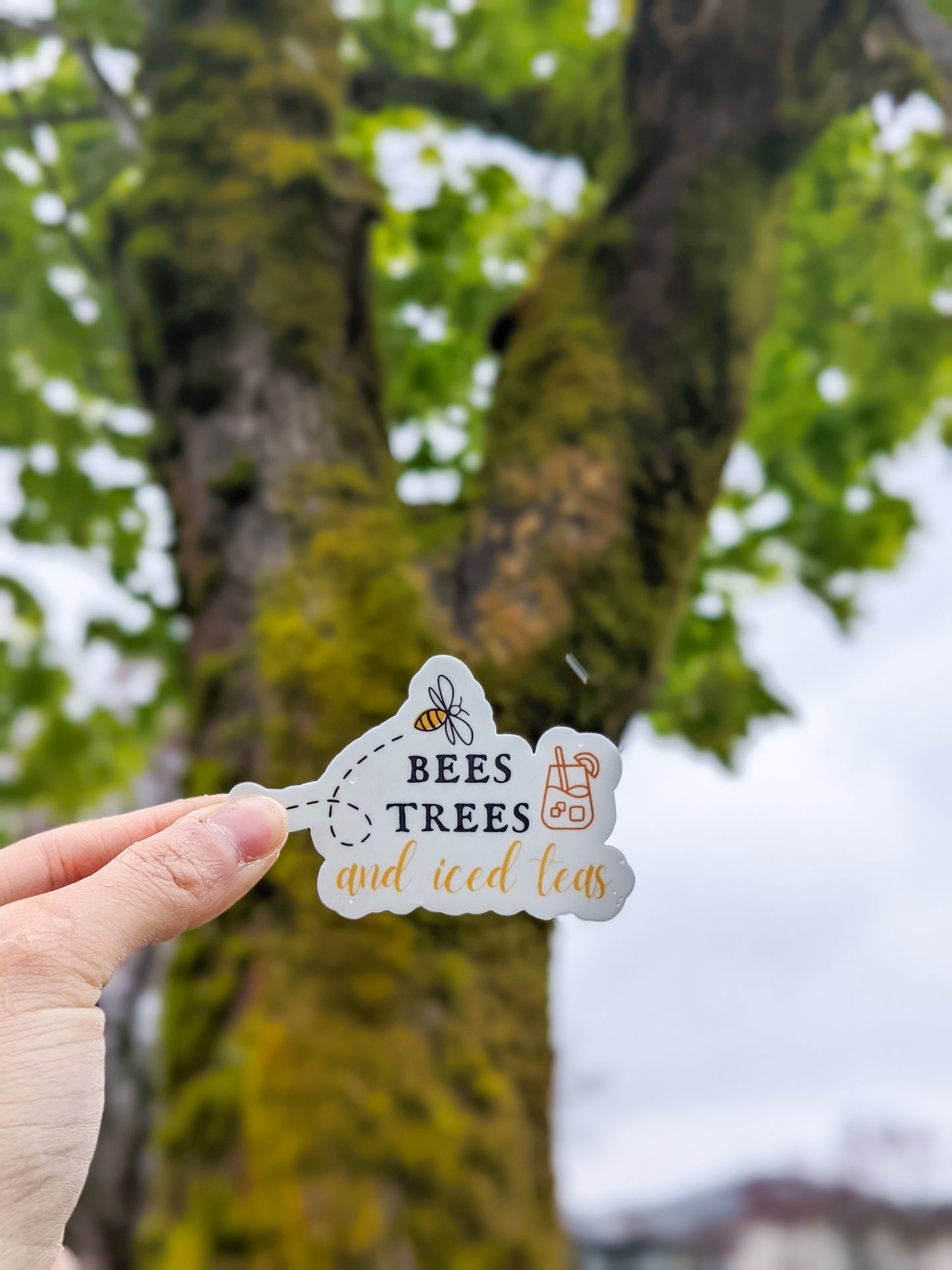 Bees Trees and Iced Teas Sticker